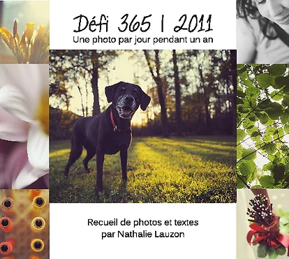 Défi 365 | 2011